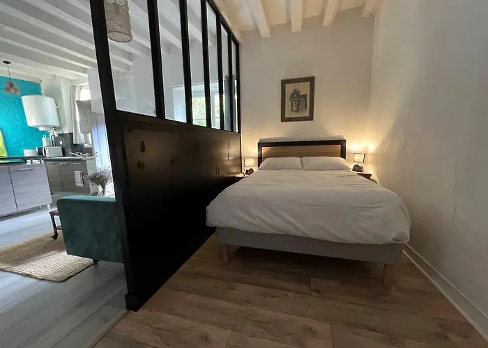 T1 Bis Avec Cour Au Pied Des Remparts, Vieux Mans Le Mans