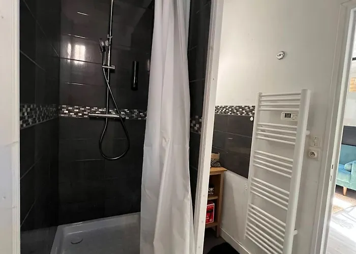 T1 Bis Avec Cour Au Pied Des Remparts, Vieux Mans